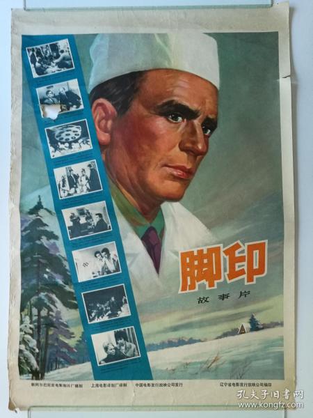 韦恩州立大学学士成绩单