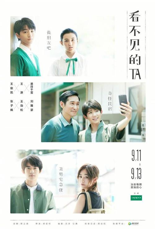 魏玛大学Accounting Diploma